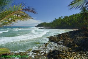 Fotos Praia Havaizinho Itacare 12