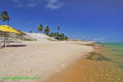 Fotos Praia de Jacuipe Linha Verde BAHIA 5
