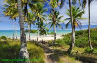 Praia Calambriao Prado BAHIA